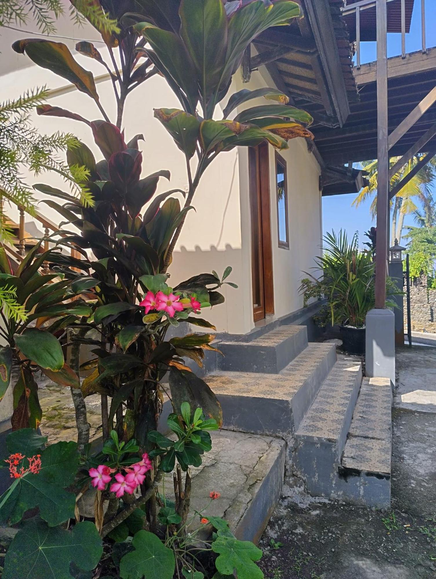 Kirra'S Beach House 풀루칸 외부 사진