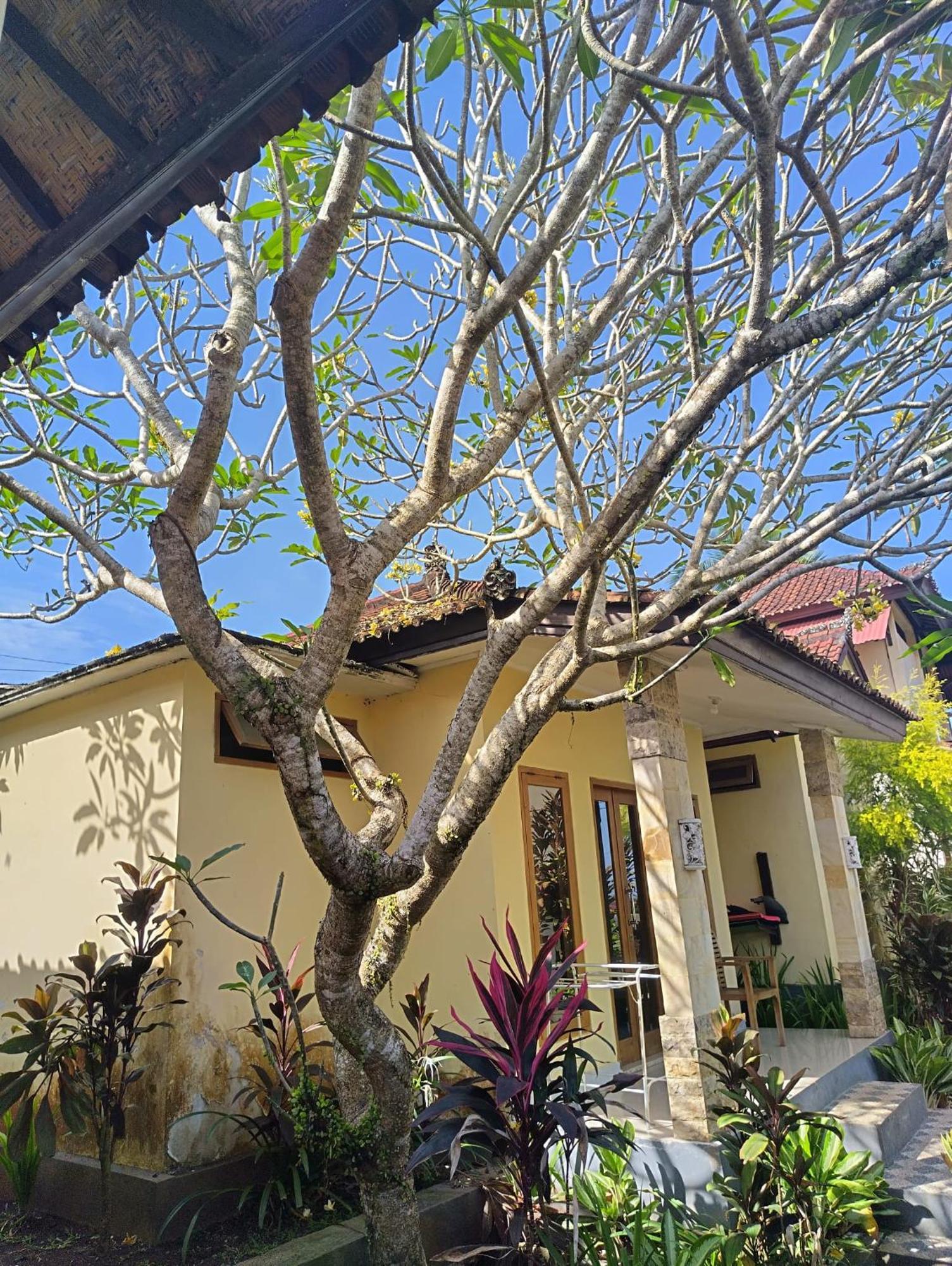 Kirra'S Beach House 풀루칸 외부 사진